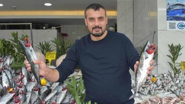 ‘Palamut bolluğu en az 1 ay daha sürecek’