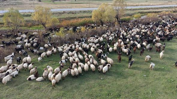 Van ve Bitlis’te göçerlerin dönüş yolculuğu başladı