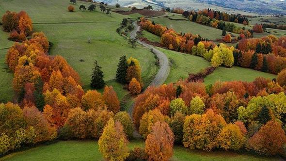 Samsun’da Kızlan Yaylası, sonbahar renklerine büründü