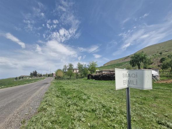 Diyarbakır’da, 8 aydır yakalanamayan dananın kaçtığı anlar kamerada