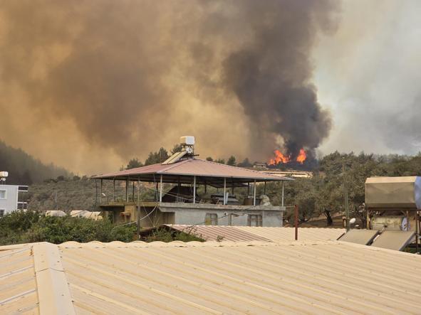Hatayda orman yangını