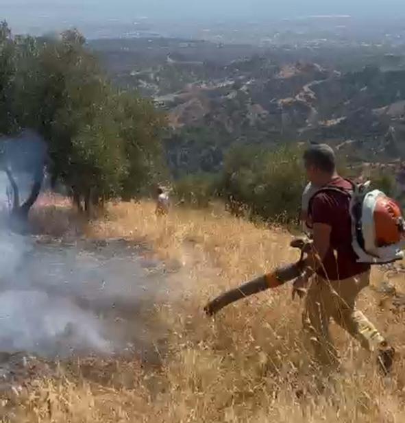 Aydında tarım arazisinde yangın kontrol altında
