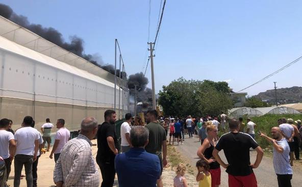 Antalyada fide üretim tesisinde yangın