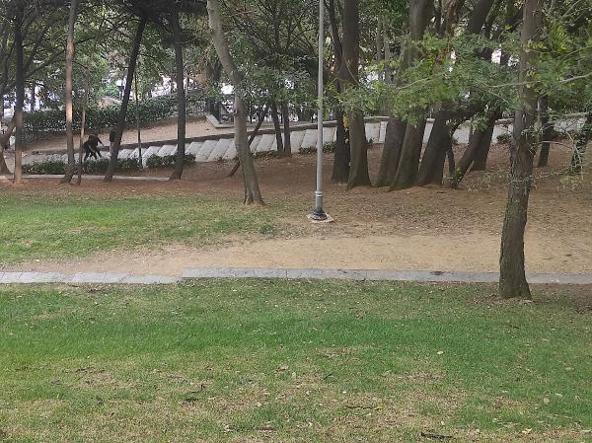 Tiyatro ve dizi oyuncusu Seda Fettahoğlu parkta ölü bulundu