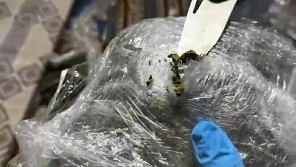 İzmirde uyuşturucu operasyonu: 2 gözaltı