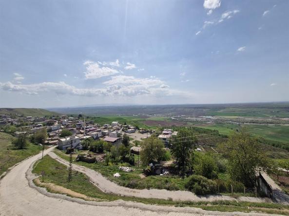 Diyarbakır’da, 8 aydır yakalanamayan dananın kaçtığı anlar kamerada