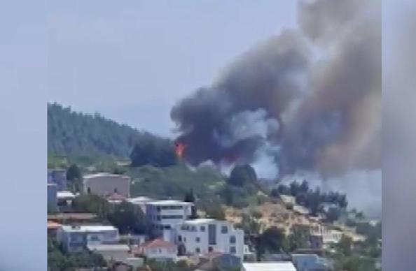 Bursa’da çıkan orman yangını kontrol altında