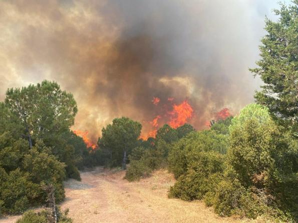 Çanakkalede çıkan orman yangını kontrol altında
