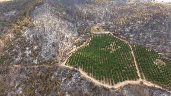 Bursa’da yanan ormanlar dronla görüntülendi; soğutma çalışmaları sürüyor