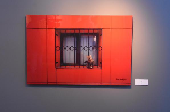 Sanatçı Çerkes Karadağın fotoğraf sergisi Folkartta açıldı