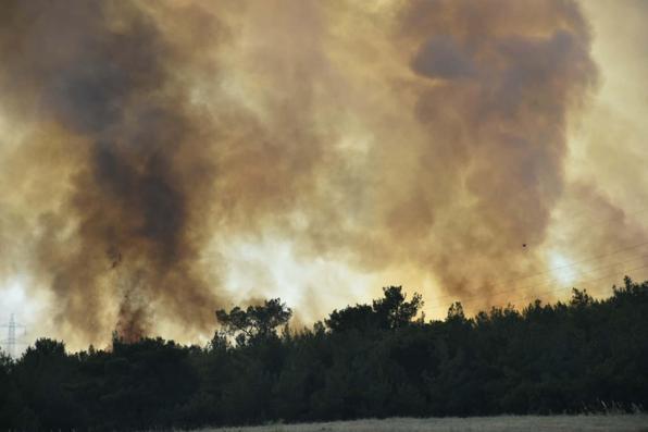 İzmir Bornovadaki orman yangını kontrol altında
