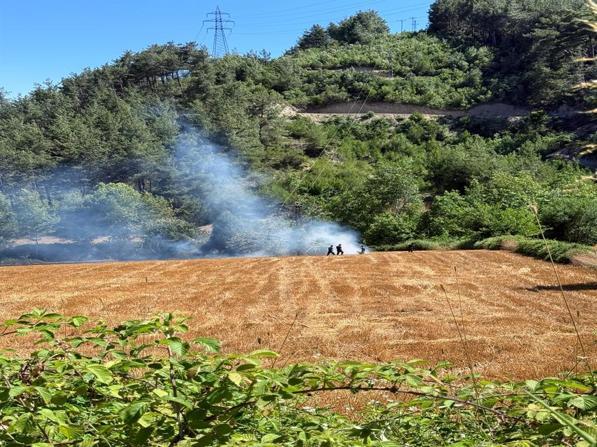 Adanada çıkan orman yangını kontrol altında