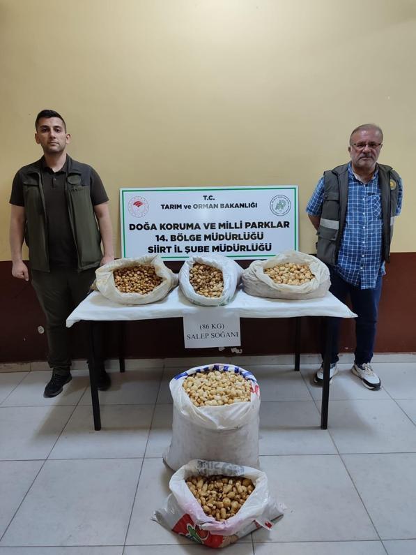 Araçta 86 kilo salep soğanı ele geçirildi; 387 bin lira ceza uygulandı