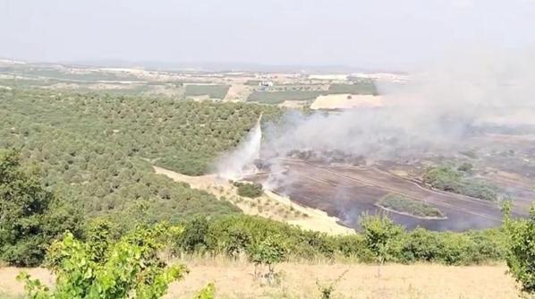 Bursada çıkan orman yangını kontrol altında