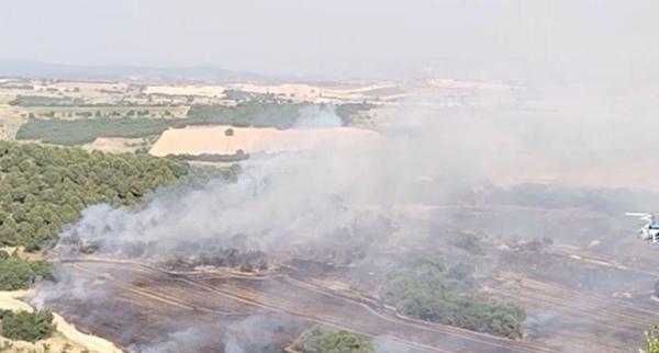 Bursada çıkan orman yangını kontrol altında