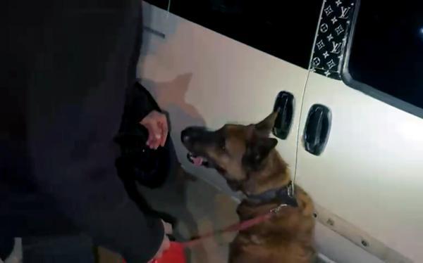 Evinde ve aracında uyuşturucu bulunan şüpheli tutuklandı