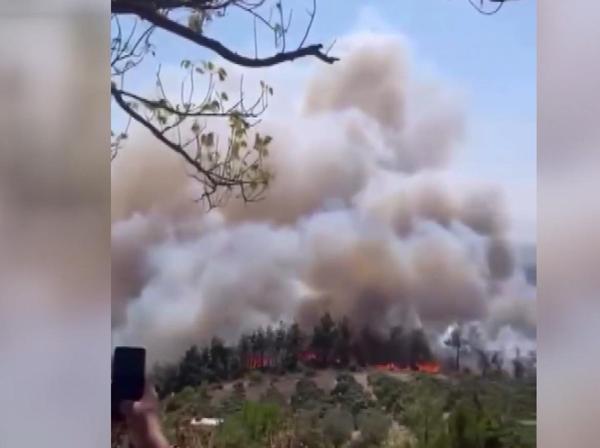 Bursa’da çıkan orman yangını kontrol altında