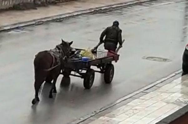 Haber nerede, DHA orada