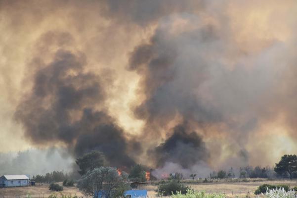 İzmir Bornovadaki orman yangını kontrol altında