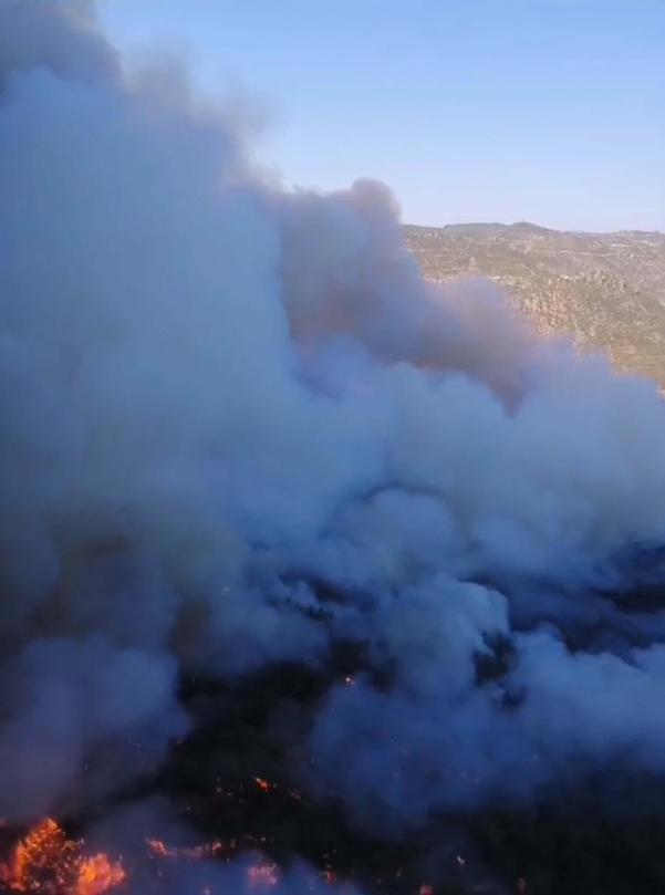 İzmir Mendereste orman yangını