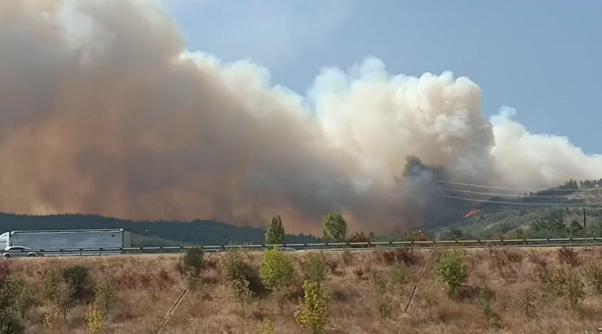 Bursa’da çıkan orman yangını kontrol altında