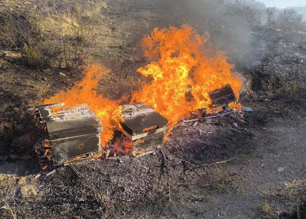 Antalyada orman yangını
