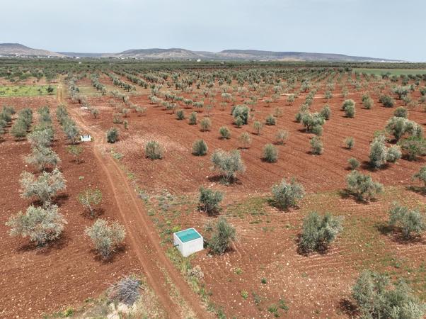 DSİ: Kiliste günlük 30 bin metreküp arıtılmış atık su, tarım arazileri ile buluşturulacak