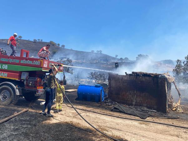 Çanakkalede maki yangını kontrol altında