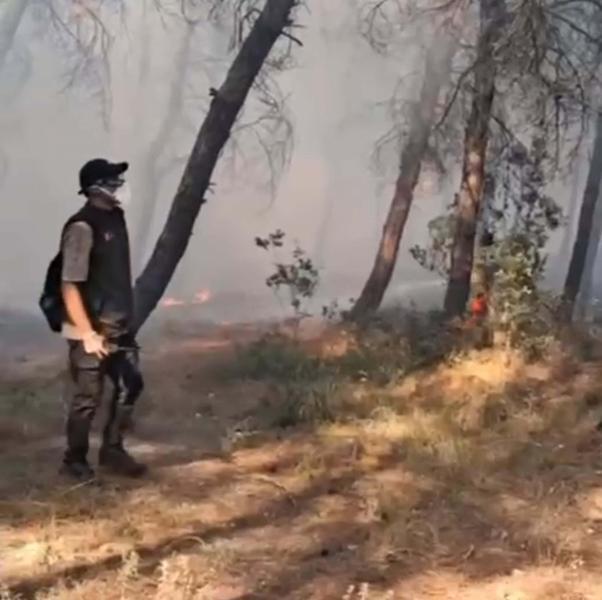 İzmir’de orman yangını kontrol altında