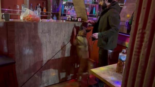 İzmirde kredi kartı dolandırıcılığına Gün Batımı operasyonunda 24 gözaltı