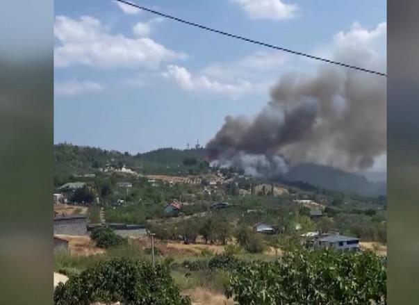 Bursa’da çıkan orman yangını kontrol altında