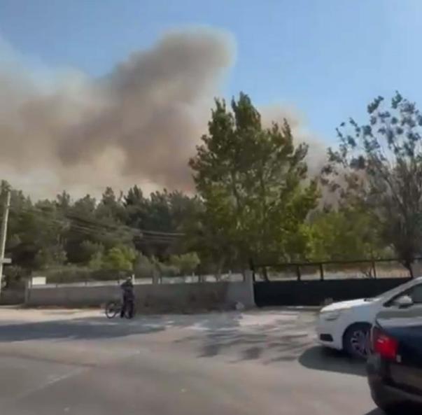 İzmir’de orman yangını kontrol altında