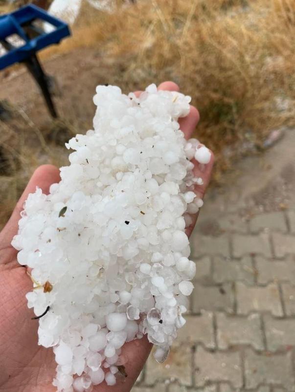 Elazığ’da sağanak ve dolu kayısı bahçelerine zarar verdi