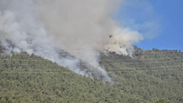 Hataydaki orman yangını 2nci gününde