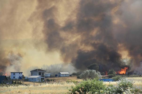 İzmir Bornovadaki orman yangını kontrol altında