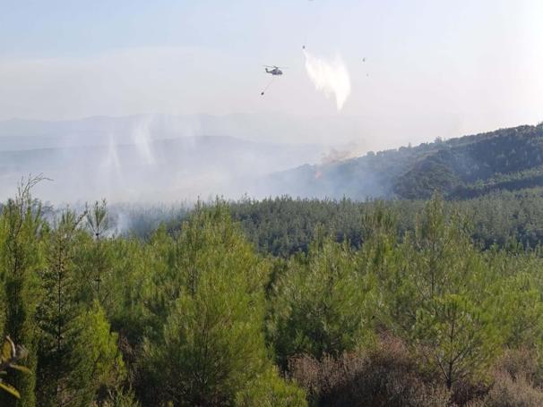 Çanakkalede orman yangını