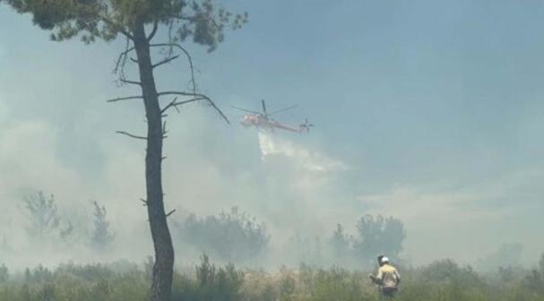 İzmir Bucada orman yangını
