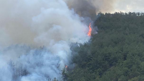 Karabükte orman yangını