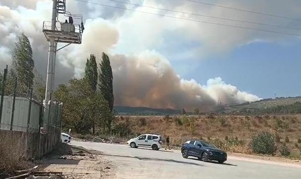 Bursa’da çıkan orman yangını kontrol altında