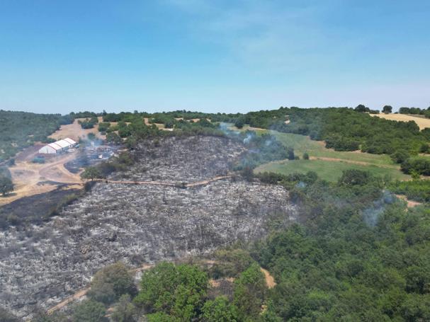 İnegöldeki orman yangını kontrol altına alındı