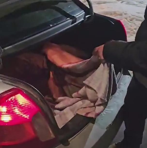 Otomobillerin bagajında 2 kaçak göçmen yakalandı