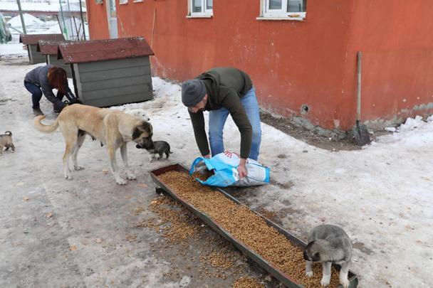 Mama Ekspresi projesi ile Doğu’daki hayvanlara 40,6 ton mama ulaştırıldı