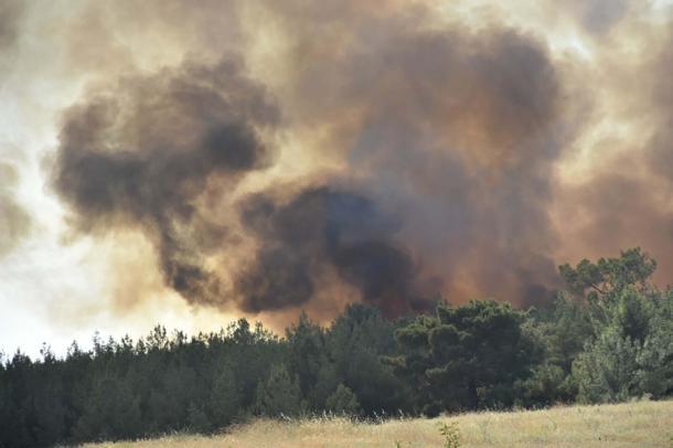 İzmir Bornovadaki orman yangını kontrol altında