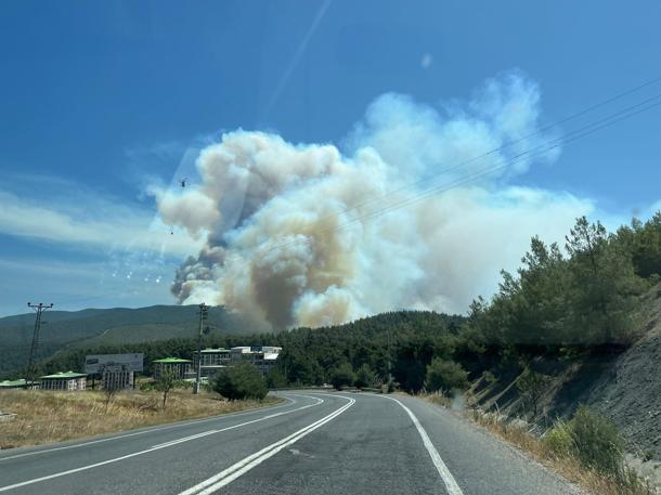 Sakaryada çıkıp Bilecike sıçrayan orman yangını 2nci gününde