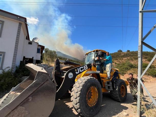 Kocaelide orman yangını