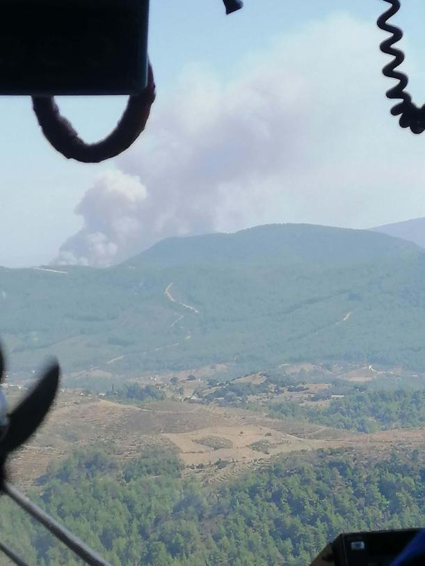 İzmir Mendereste orman yangını