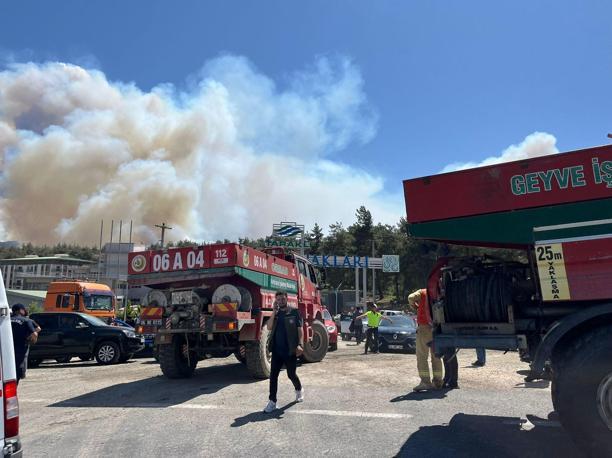 Sakaryada çıkıp Bilecike sıçrayan orman yangını 2nci gününde