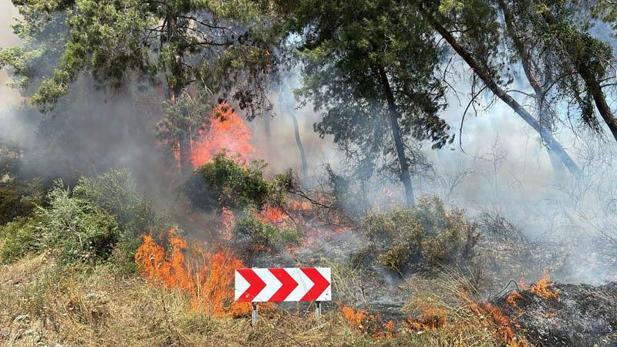 Antalyada orman yangını kontrol altına alındı