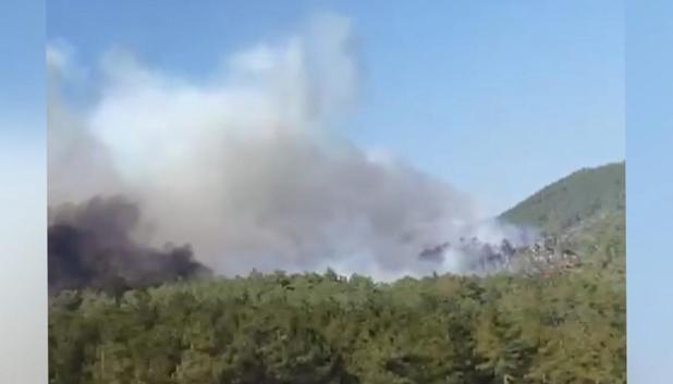 Bursada orman yangını