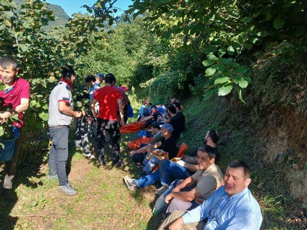 Ölen kız kardeşlerin bahçesindeki fındığın hasadını imece usulü mahalleli yaptı